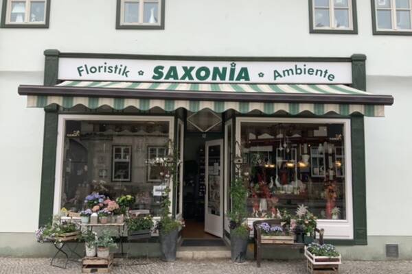 Bild 1 von Saxonia Floristik & Ambiente